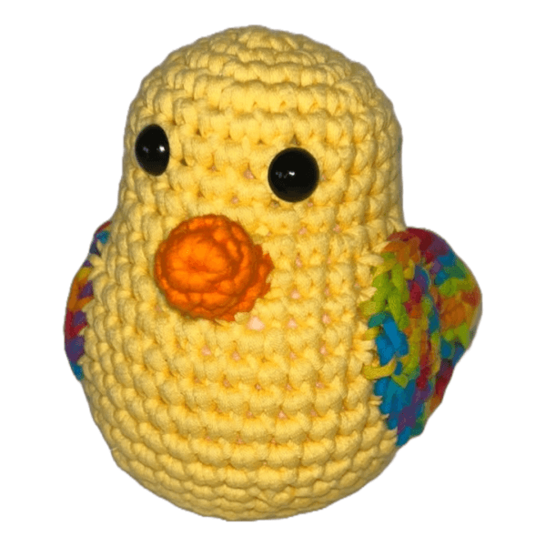 Colorful Bird